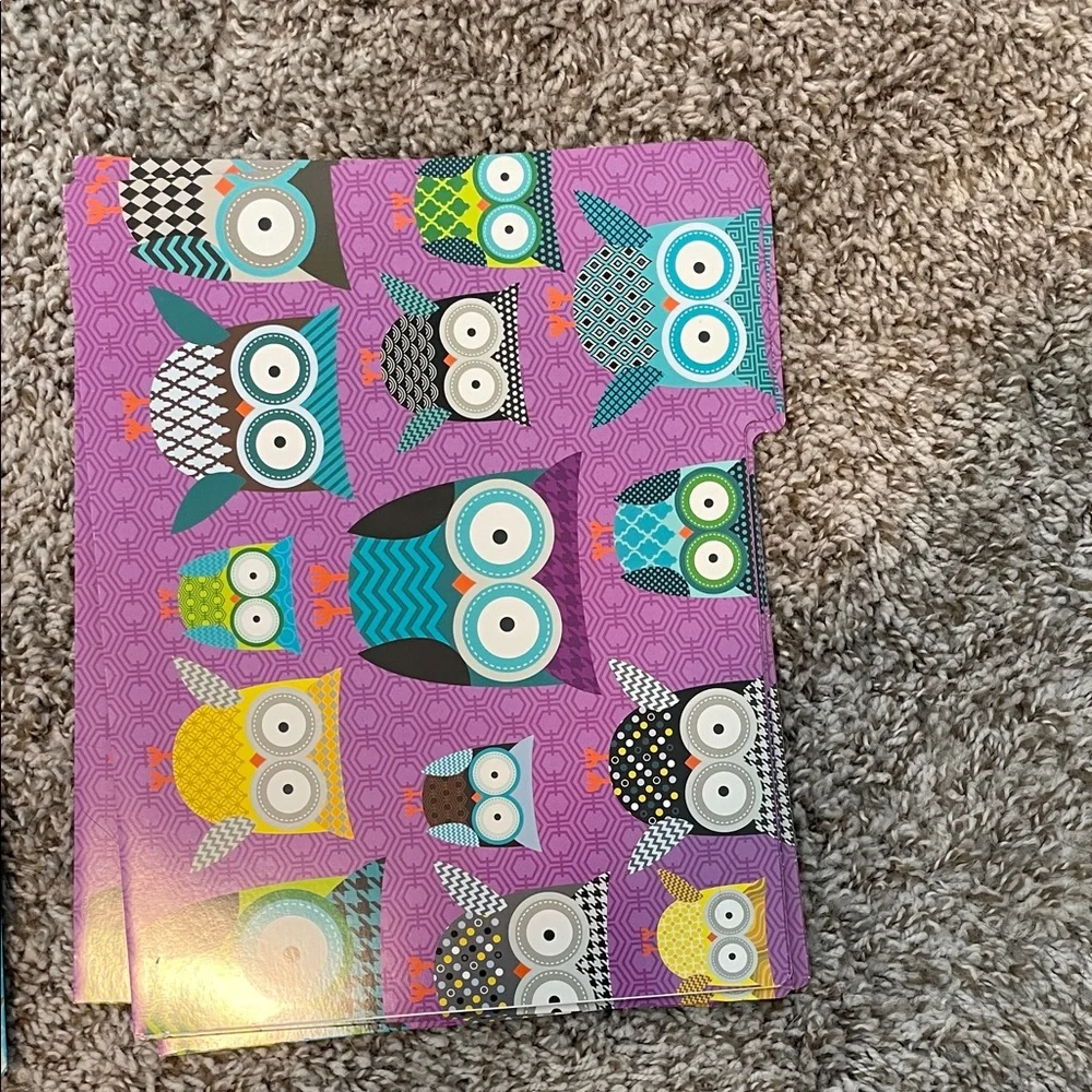 12 Colorful Owl Patterned Folders